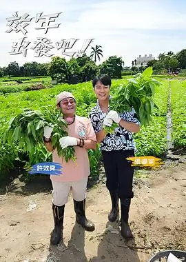 乘风2024 综艺 2024 芒果TV